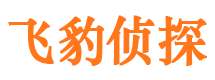 沁县市私家侦探